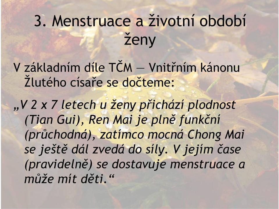 Gui), Ren Mai je plně funkční (průchodná), zatímco mocná Chong Mai se ještě