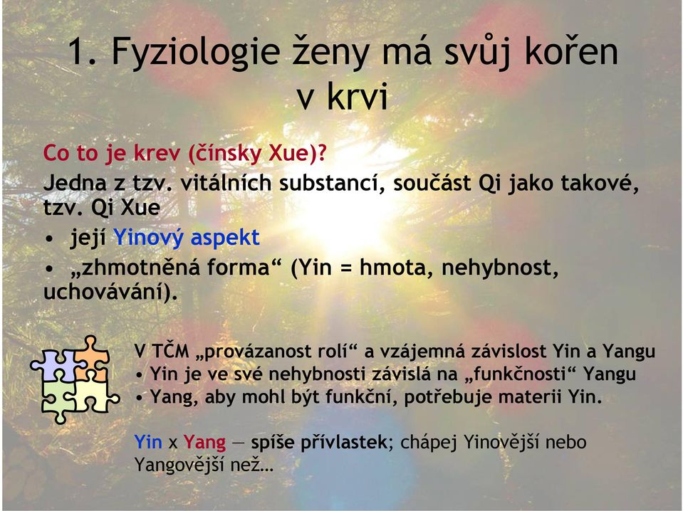 Qi Xue její Yinový aspekt zhmotněná forma (Yin = hmota, nehybnost, uchovávání).