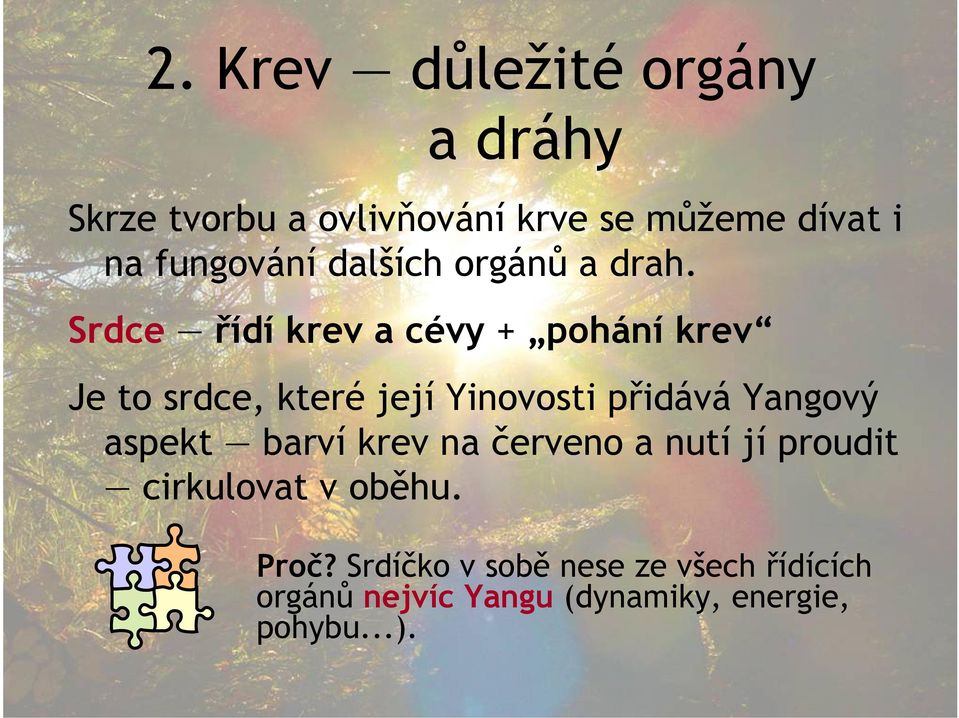 Srdce řídí krev a cévy + pohání krev Je to srdce, které její Yinovosti přidává Yangový