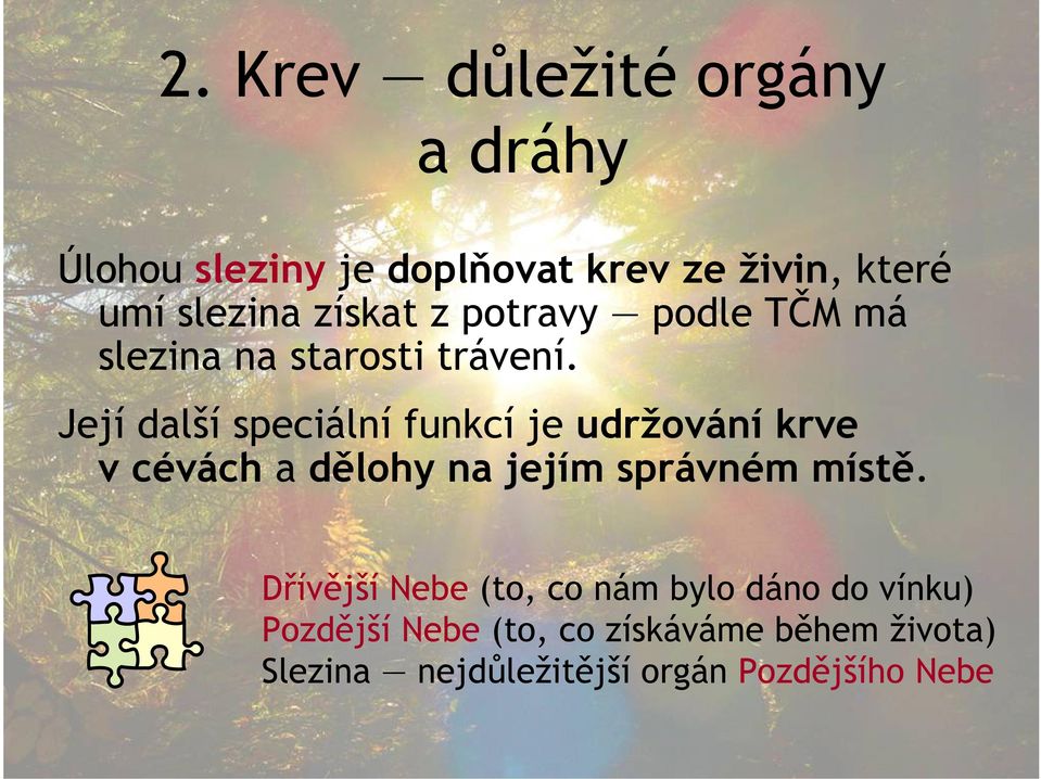 Její další speciální funkcí je udržování krve v cévách a dělohy na jejím správném místě.