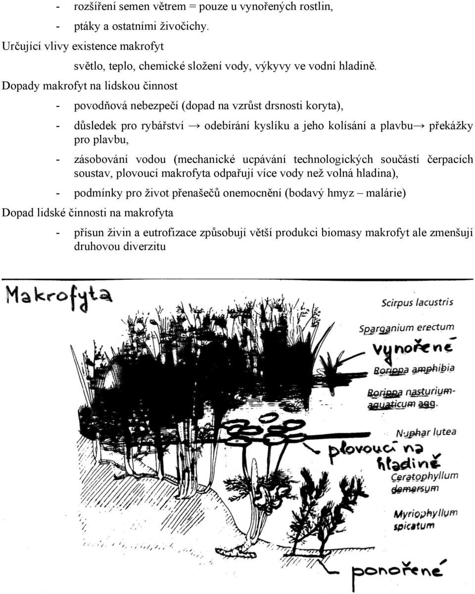 Dopady makrofyt na lidskou činnost - povodňová nebezpečí (dopad na vzrůst drsnosti koryta), - důsledek pro rybářství odebírání kyslíku a jeho kolísání a plavbu překážky pro