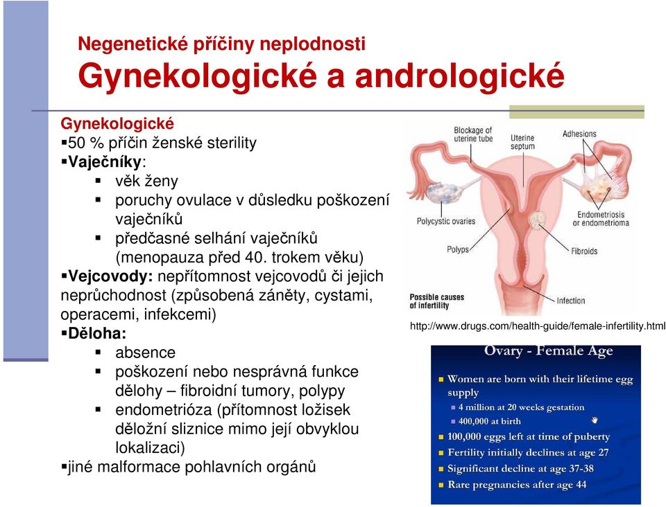 trokem věku) Vejcovody: nepřítomnost vejcovodůči jejich neprůchodnost (způsobená záněty, cystami, operacemi, infekcemi) Děloha: absence poškození