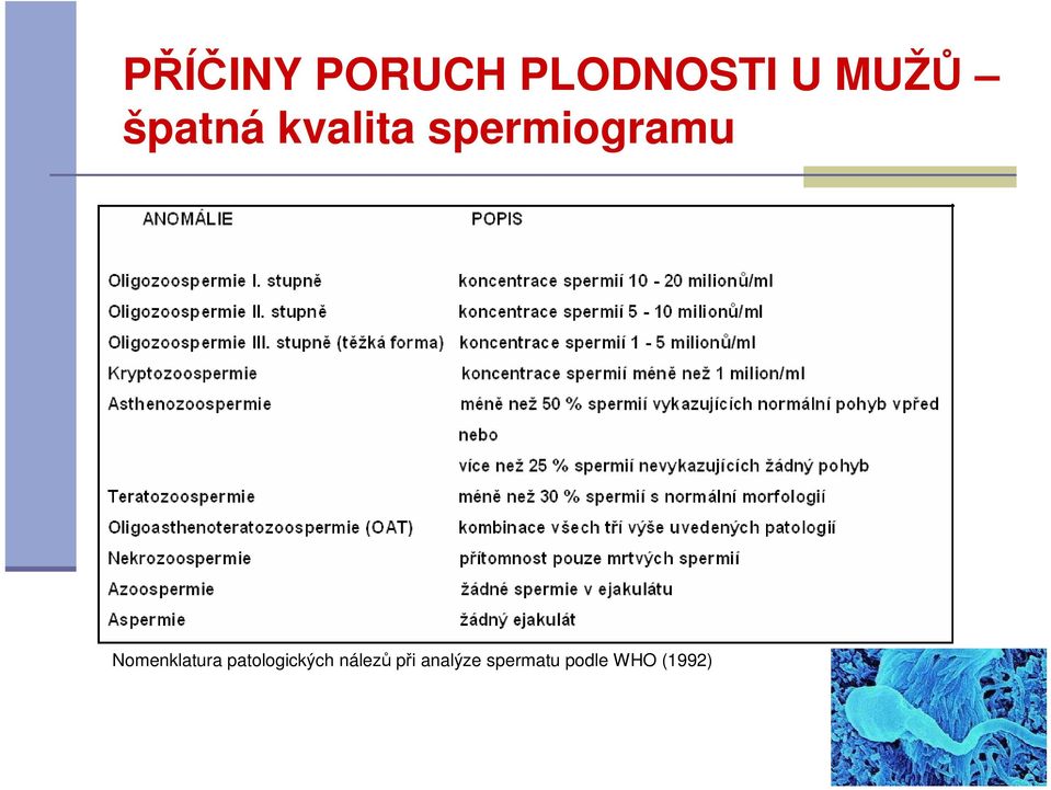 Nomenklatura patologických