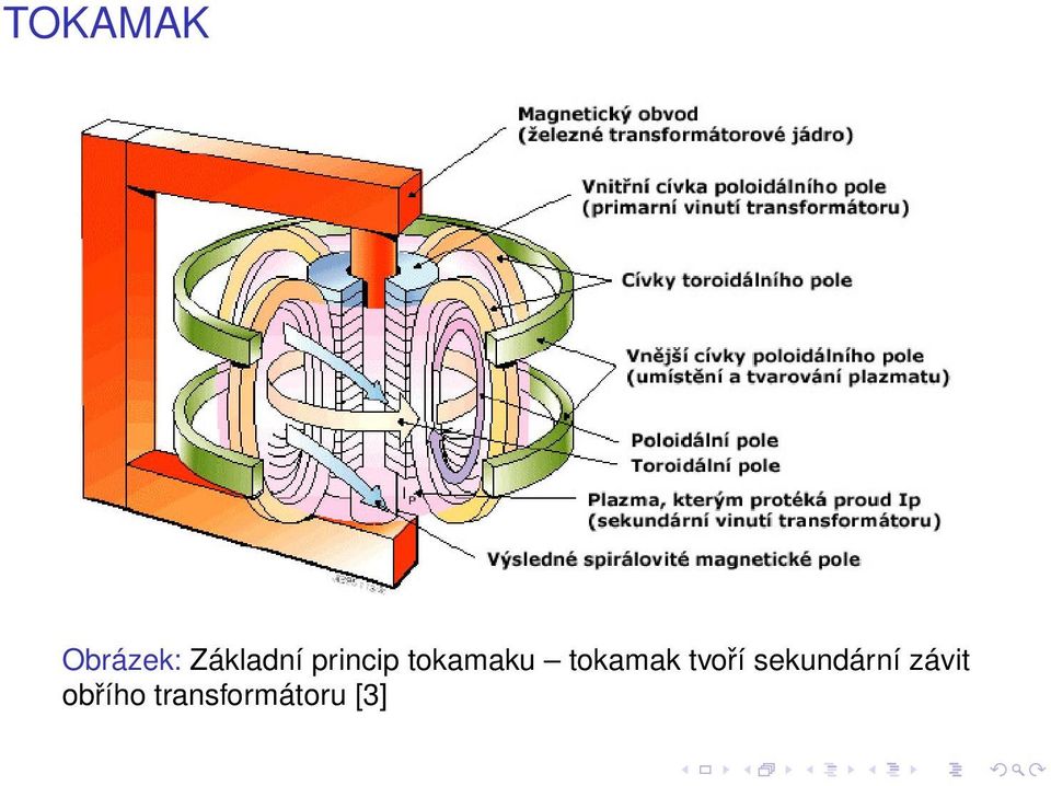 tokamaku tokamak tvoří