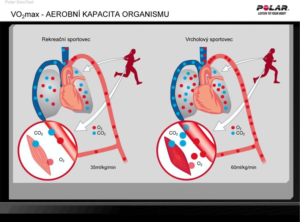 Vrcholový sportovec O 2 O 2 CO 2