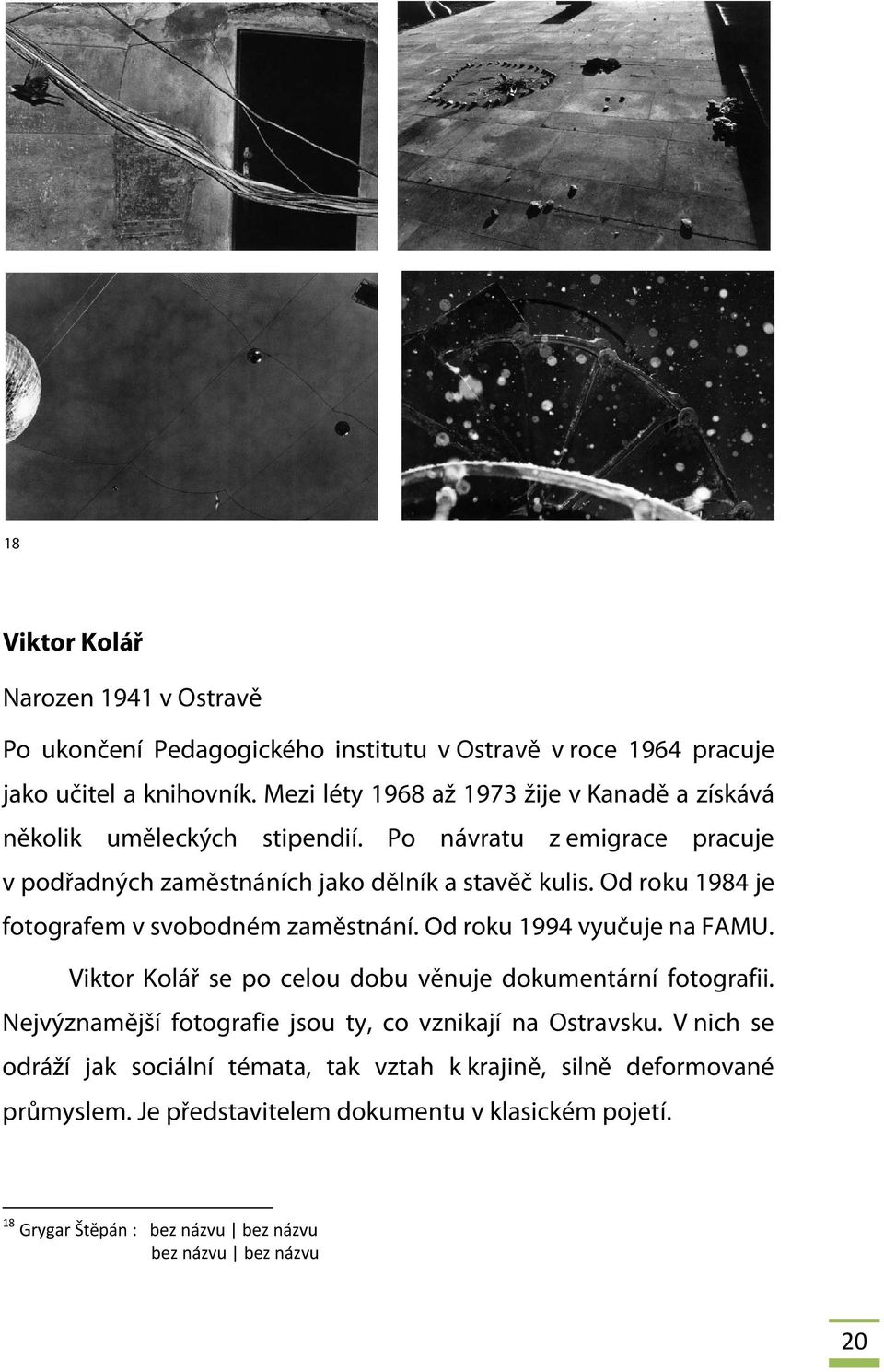 Od roku 1984 je fotografem v svobodném zaměstnání. Od roku 1994 vyučuje na FAMU. Viktor Kolář se po celou dobu věnuje dokumentární fotografii.