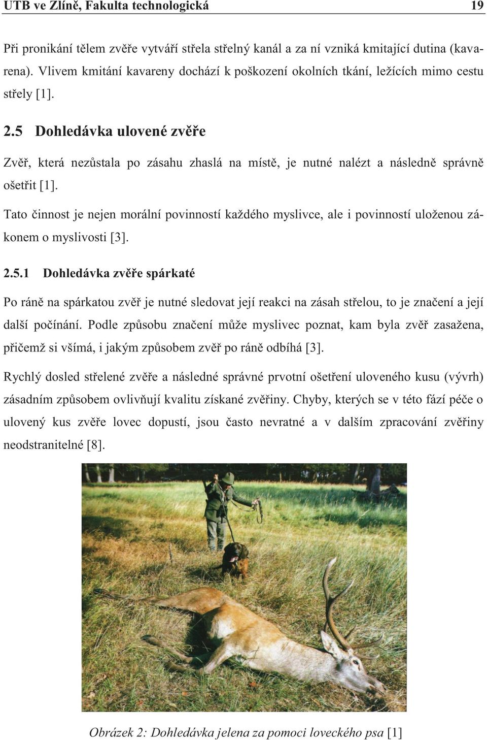 5 Dohledávka ulovené zvěře Zvěř, která nezůstala po zásahu zhaslá na místě, je nutné nalézt a následně správně ošetřit [1].