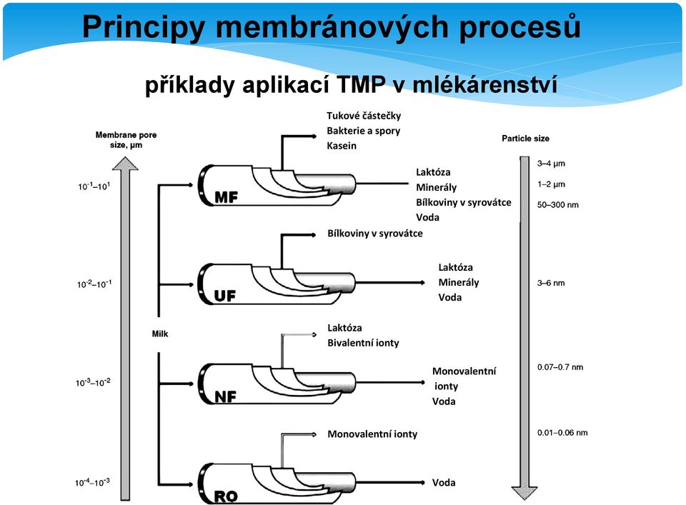 Minerály Bílkoviny v syrovátce Voda Laktóza Minerály Voda