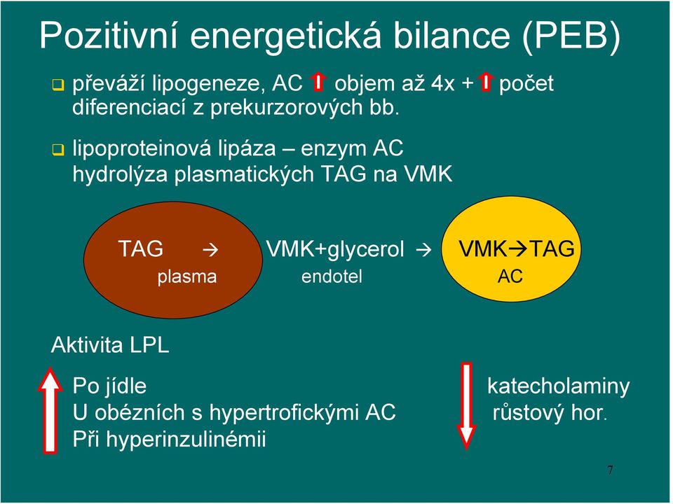 počet lipoproteinová lipáza enzym AC hydrolýza plasmatických TAG na VMK TAG