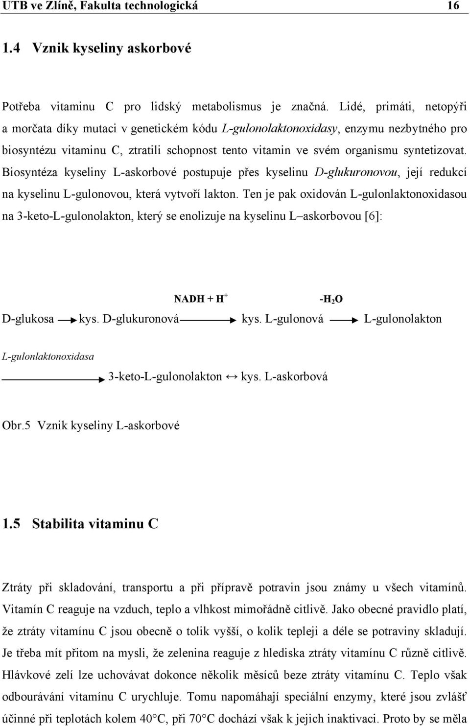 Biosyntéza kyseliny L-askorbové postupuje přes kyselinu D-glukuronovou, její redukcí na kyselinu L-gulonovou, která vytvoří lakton.