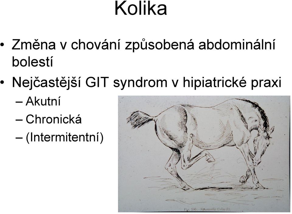 GIT syndrom v hipiatrické praxi