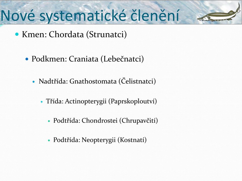 (Čelistnatci) Třída: Actinopterygii (Paprskoploutví)