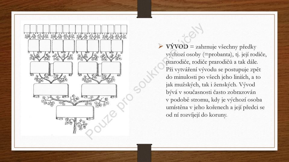 Při vytváření vývodu se postupuje zpět do minulosti po všech jeho liniích, a to jak mužských, tak i