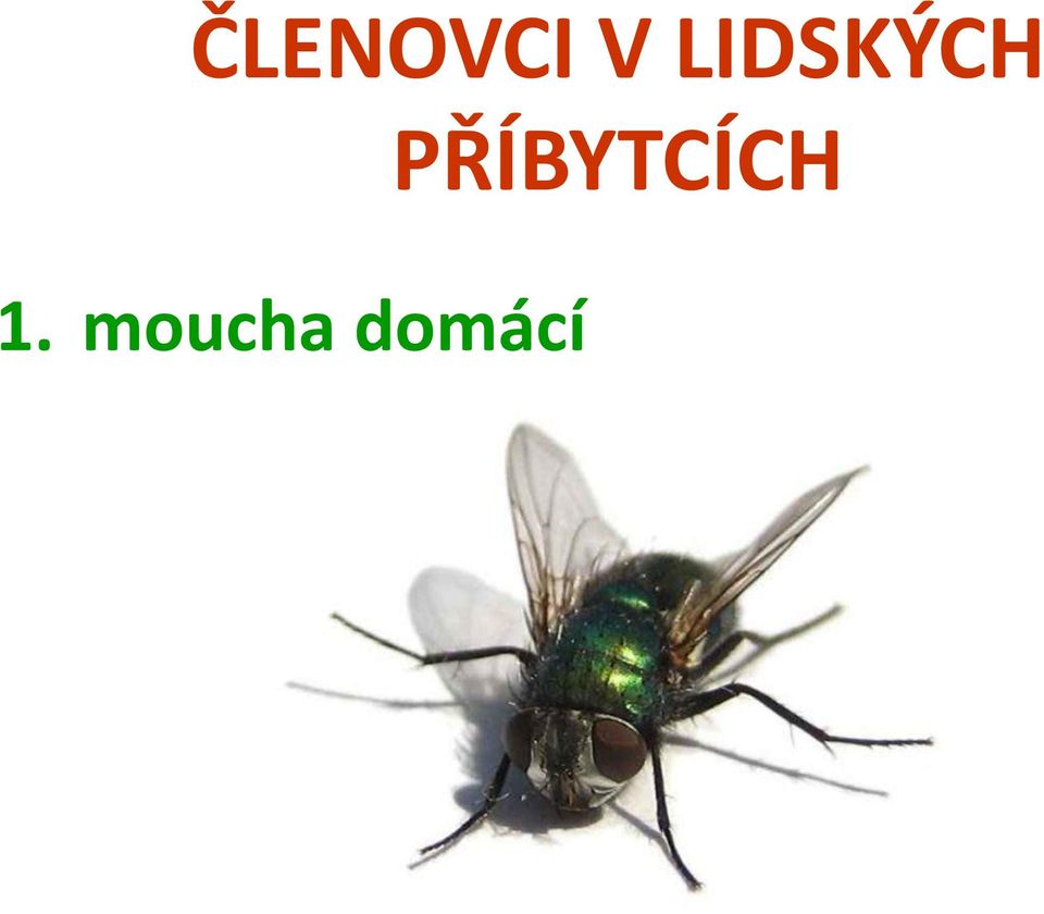 PŘÍBYTCÍCH