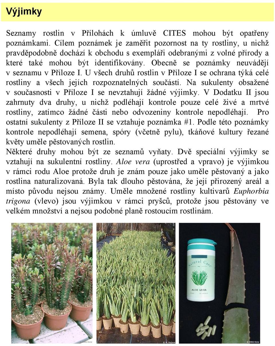 Obecně se poznámky neuvádějí v seznamu v Příloze I. U všech druhů rostlin v Příloze I se ochrana týká celé rostliny a všech jejích rozpoznatelných součástí.