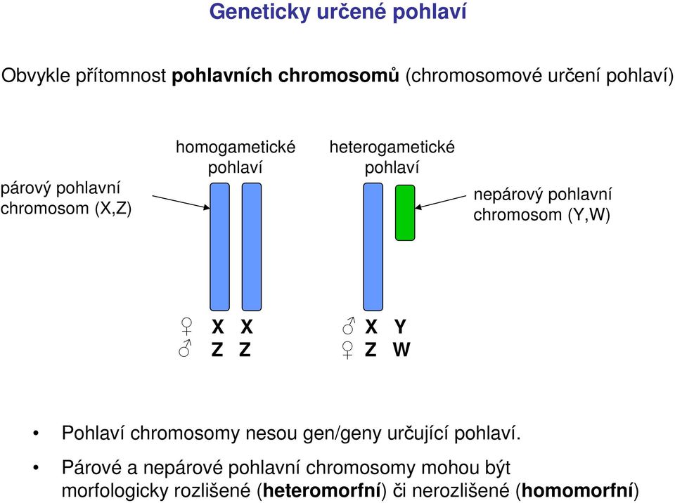 chromosom (Y,W) X X Z Z X Y Z W Pohlaví chromosomy nesou gen/geny určující pohlaví.