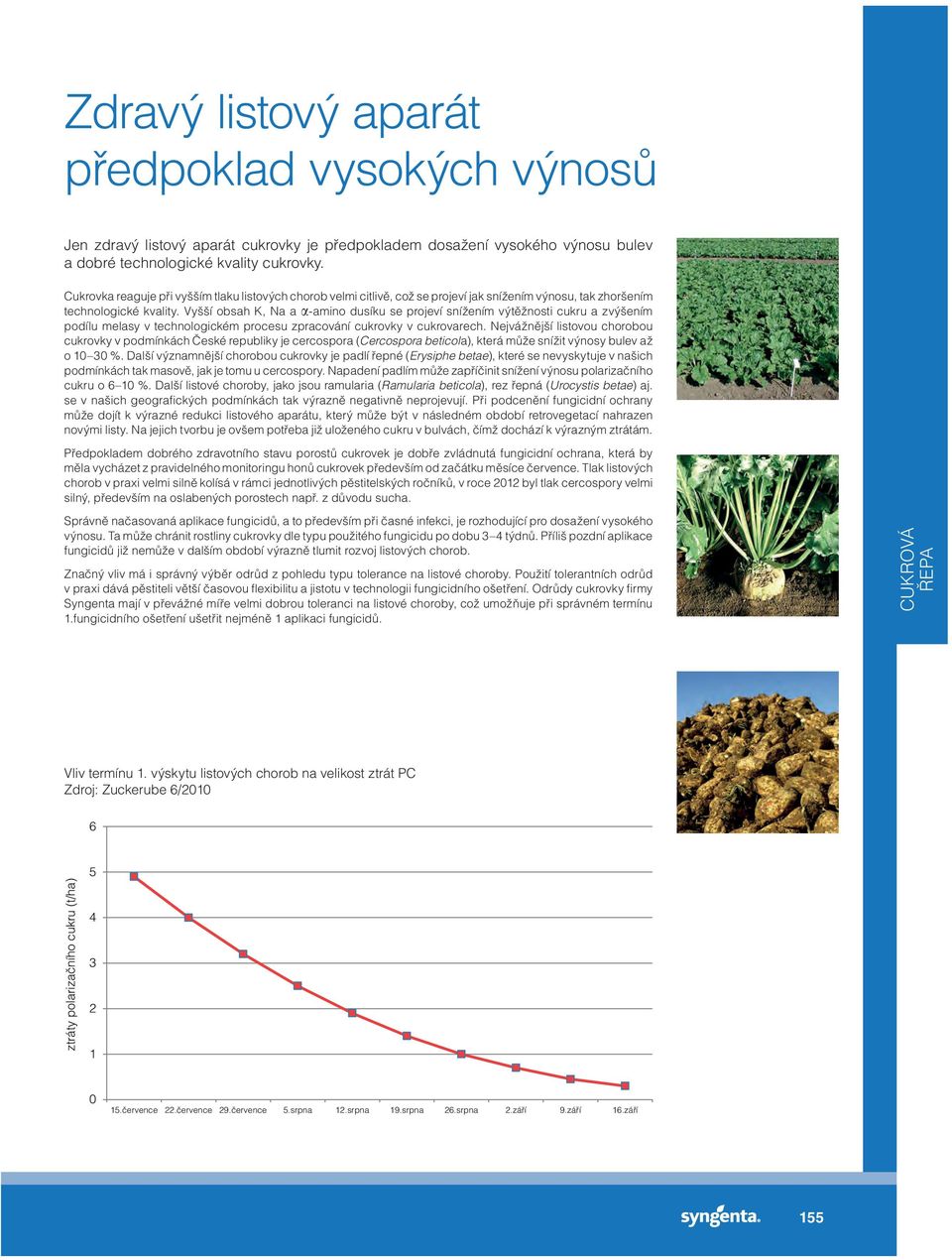 Vyšší obsah K, Na a α-amino dusíku se projeví snížením výtěžnosti cukru a zvýšením podílu melasy v technologickém procesu zpracování cukrovky v cukrovarech.