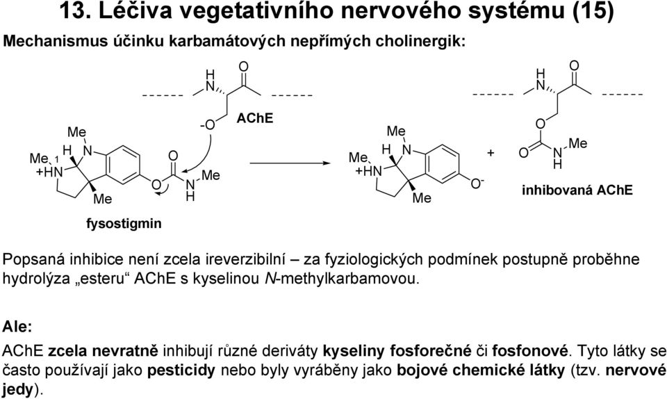 hydrolýza esteru AChE s kyselinou -methylkarbamovou.