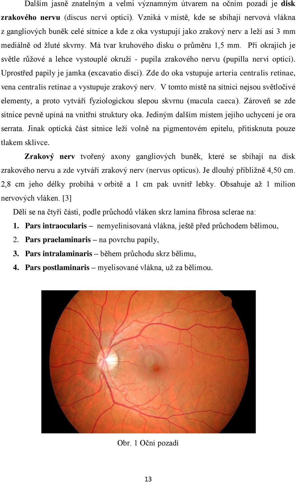 Má tvar kruhového disku o průměru 1,5 mm. Při okrajích je světle růžové a lehce vystouplé okruží - pupila zrakového nervu (pupilla nervi optici). Uprostřed papily je jamka (excavatio disci).