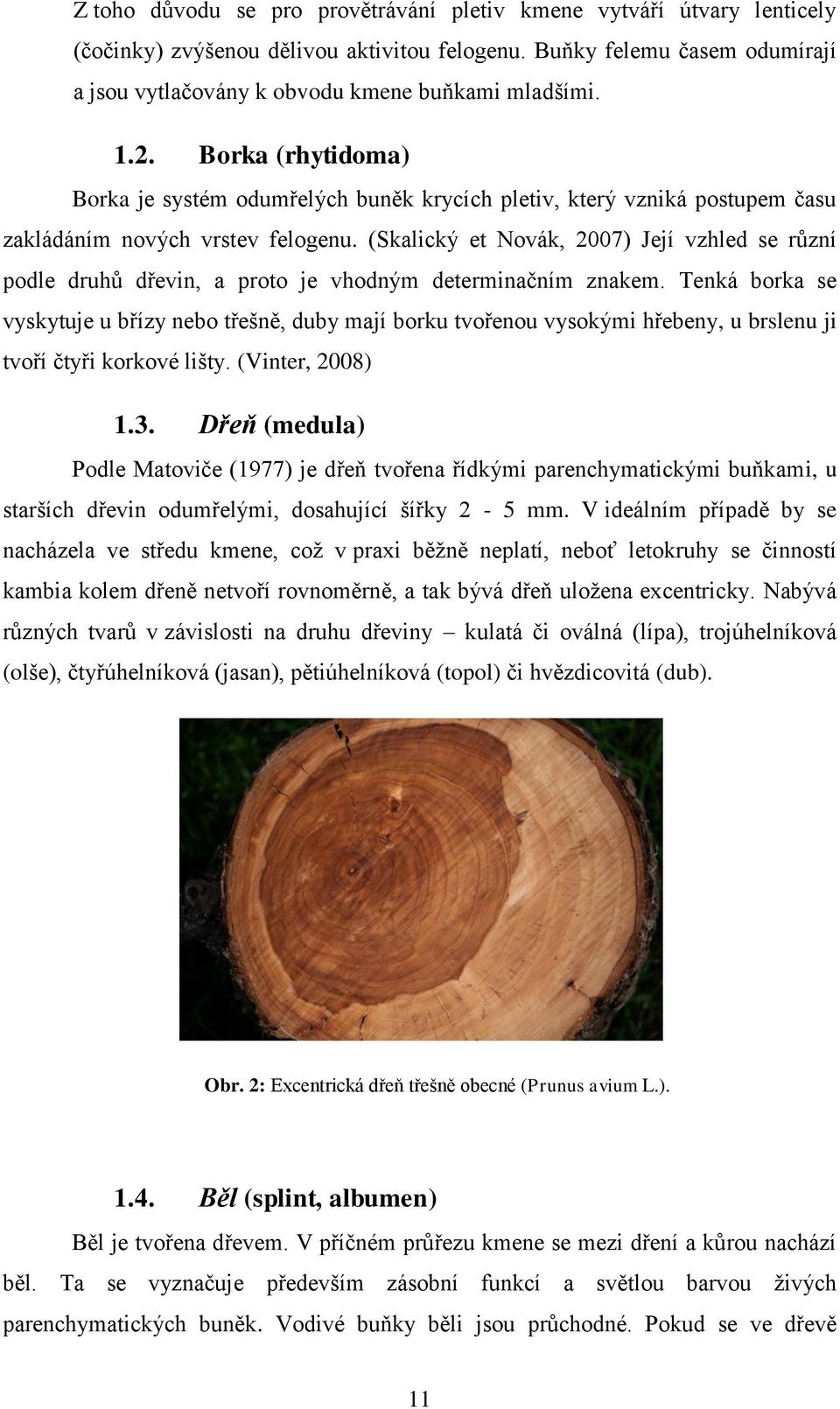 (Skalický et Novák, 2007) Její vzhled se různí podle druhů dřevin, a proto je vhodným determinačním znakem.