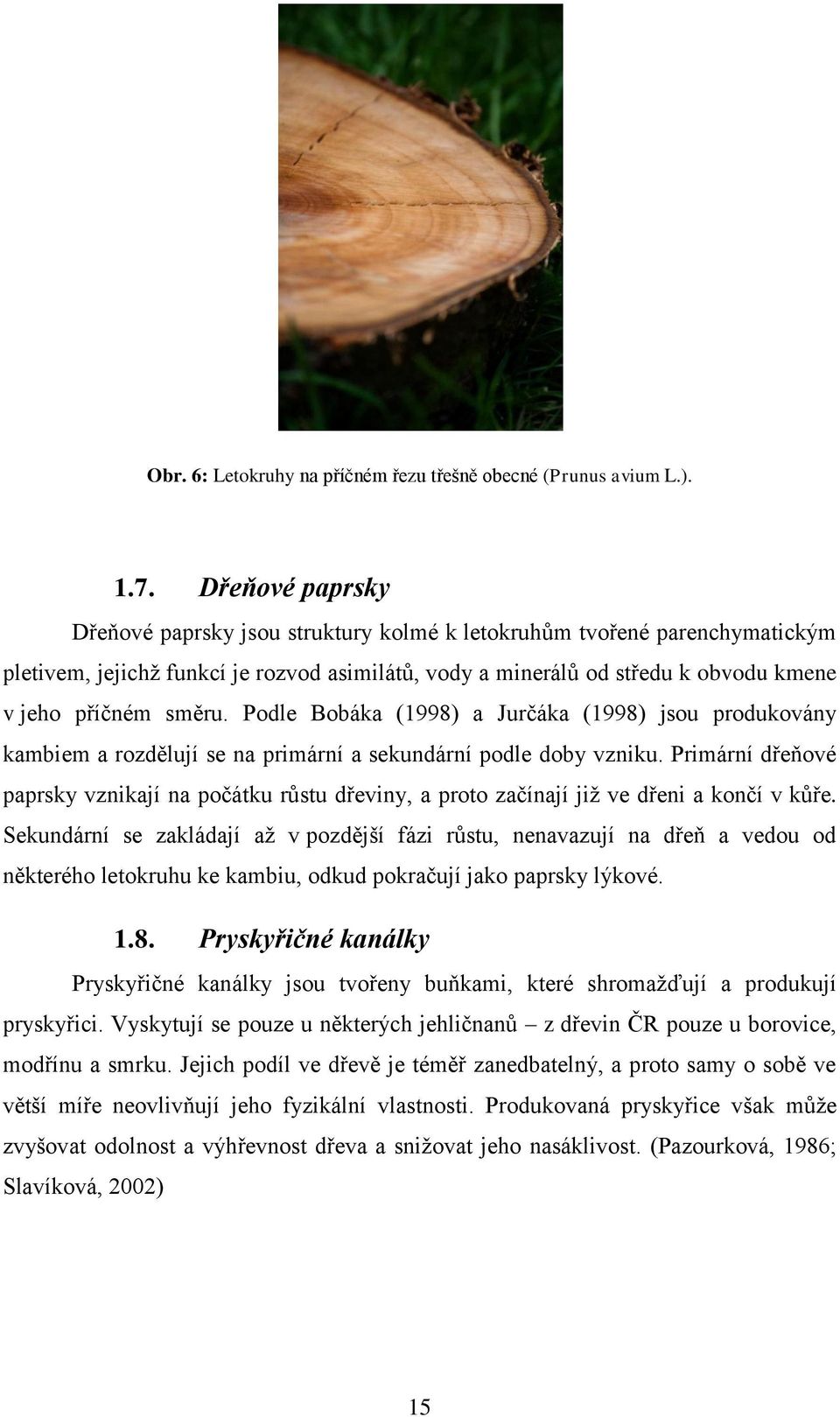 Podle Bobáka (1998) a Jurčáka (1998) jsou produkovány kambiem a rozdělují se na primární a sekundární podle doby vzniku.