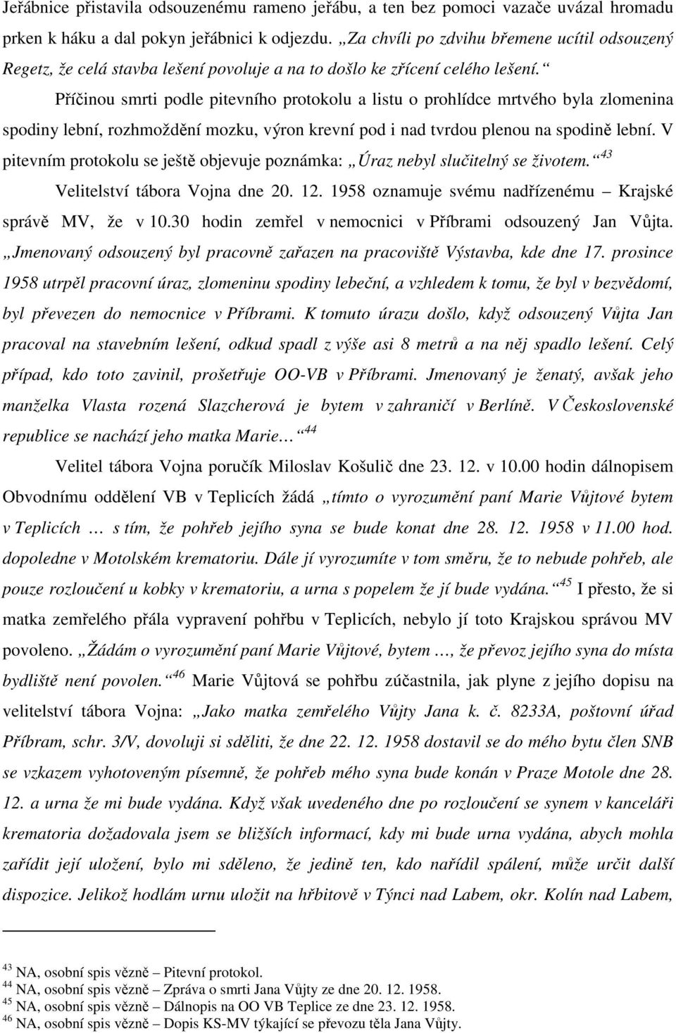 Příčinou smrti podle pitevního protokolu a listu o prohlídce mrtvého byla zlomenina spodiny lební, rozhmoždění mozku, výron krevní pod i nad tvrdou plenou na spodině lební.