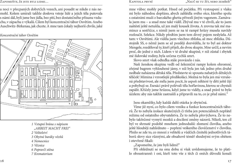 Anebo Auschwitz-Birkenau, jak chcete. A mne tam čekaly nejhorší chvíle, jaké Koncentrační tábor Osvětim mne vůbec mohly potkat. Hned od počátku.