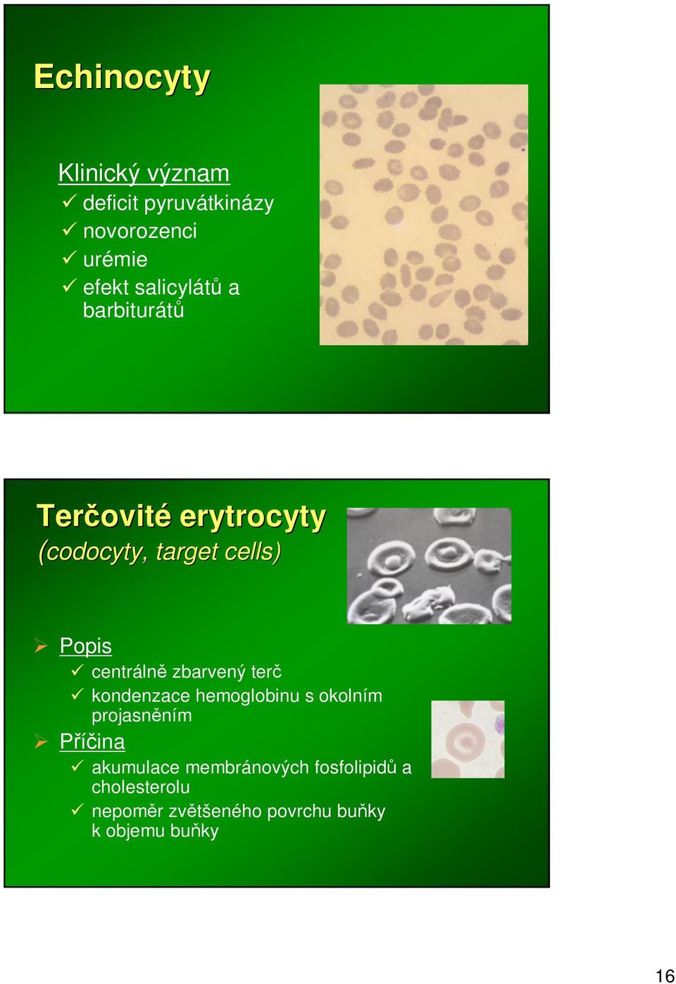 zbarvený ter kondenzace hemoglobinu s okolním projasnním akumulace