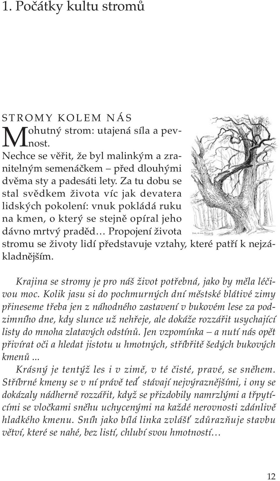 vztahy, které patří k nejzákladnějším. Krajina se stromy je pro náš život potřebná, jako by měla léčivou moc.