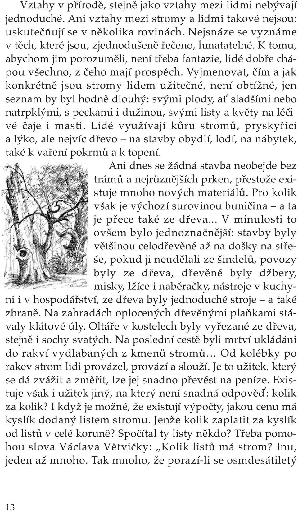 Vyjmenovat, čím a jak konkrétně jsou stromy lidem užitečné, není obtížné, jen seznam by byl hodně dlouhý: svými plody, ať sladšími nebo natrpklými, s peckami i dužinou, svými listy a květy na léčivé