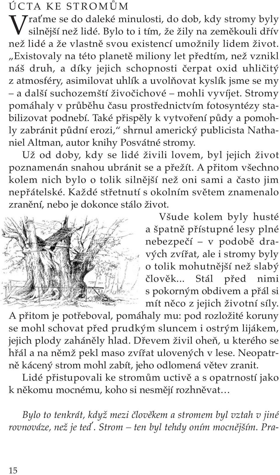 živočichové mohli vyvíjet. Stromy pomáhaly v průběhu času prostřednictvím fotosyntézy stabilizovat podnebí.