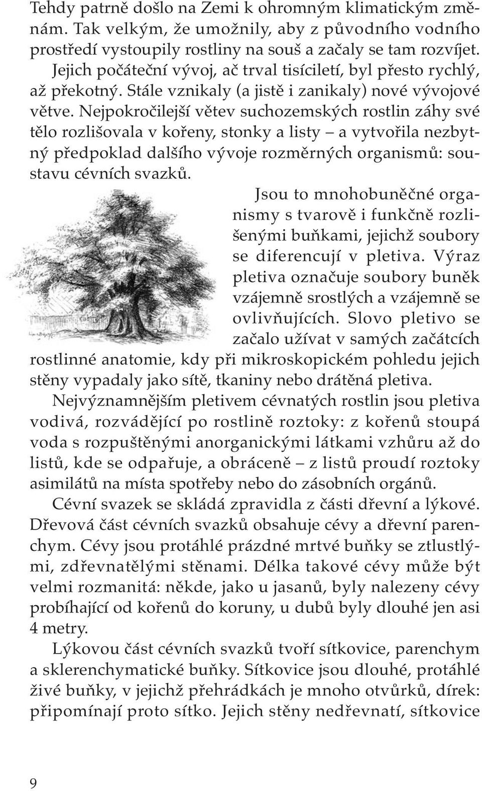 Nejpokročilejší větev suchozemských rostlin záhy své tělo rozlišovala v kořeny, stonky a listy a vytvořila nezbytný předpoklad dalšího vývoje rozměrných organismů: soustavu cévních svazků.