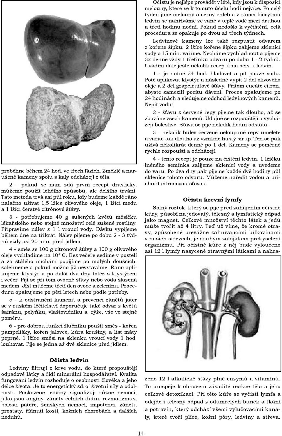 3 - potřebujeme 40 g sušených květů měsíčku lékařského nebo stejné množství celé sušené rostliny. Připravíme nálev z 1 l vroucí vody. Dávku vypijeme během dne na třikrát.