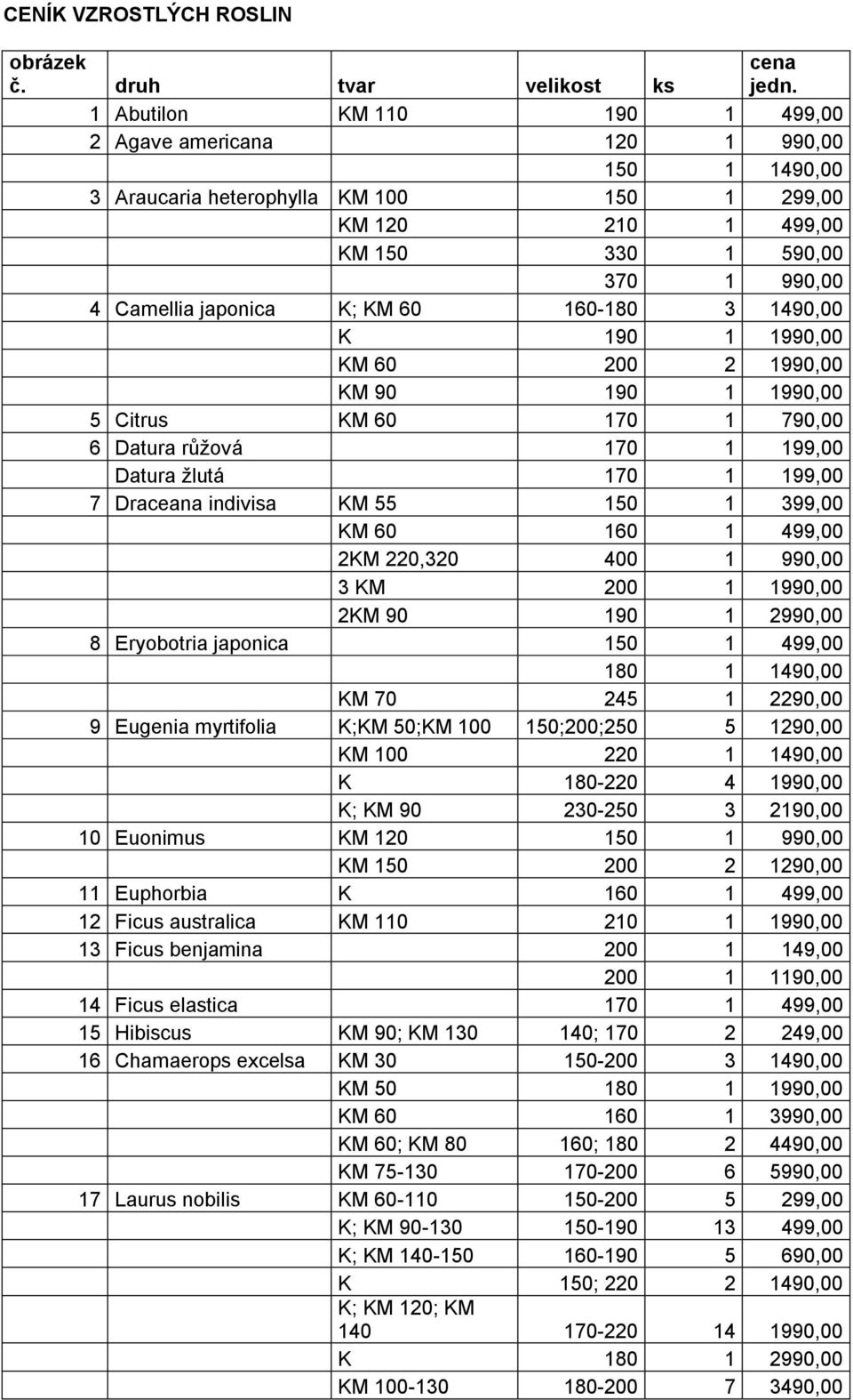60 160-180 3 1490,00 K 190 1 1990,00 KM 60 200 2 1990,00 KM 90 190 1 1990,00 5 Citrus KM 60 170 1 790,00 6 Datura růžová 170 1 199,00 Datura žlutá 170 1 199,00 7 Draceana indivisa KM 55 150 1 399,00