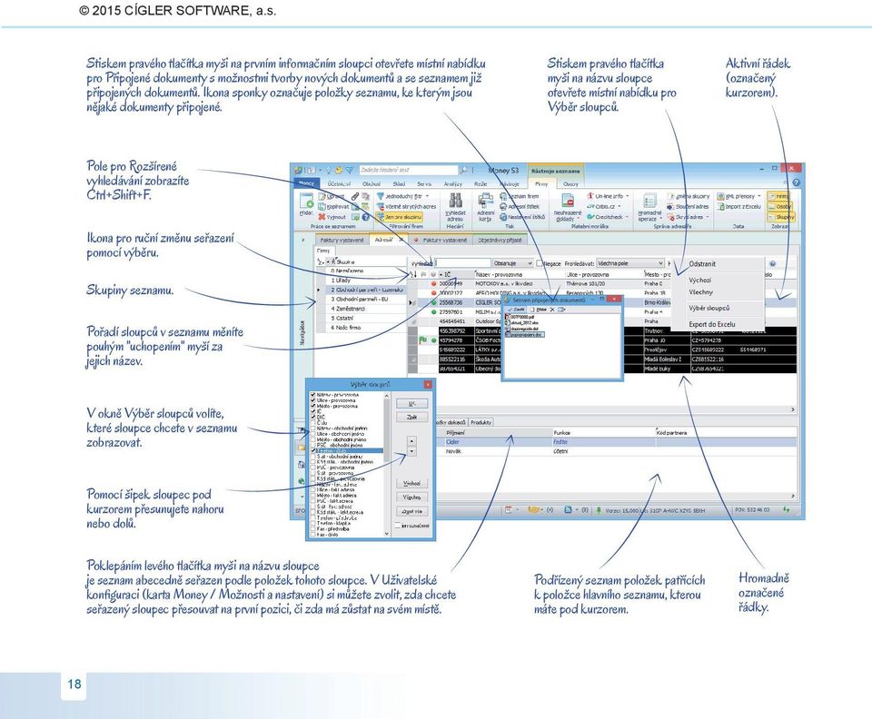 SOFTWARE,