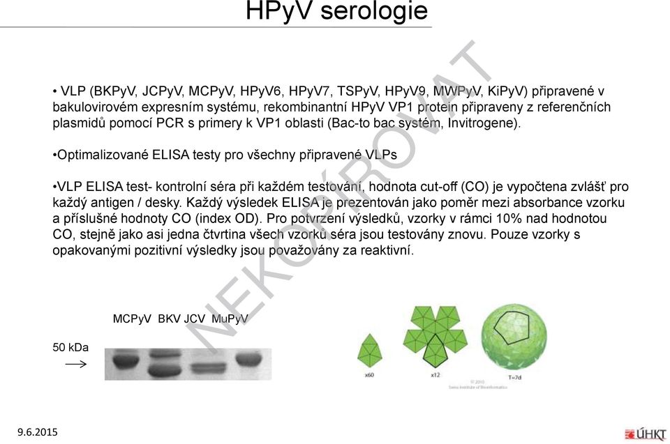 Optimalizované ELISA testy pro všechny připravené VLPs VLP ELISA test- kontrolní séra při každém testování, hodnota cut-off (CO) je vypočtena zvlášť pro každý antigen / desky.