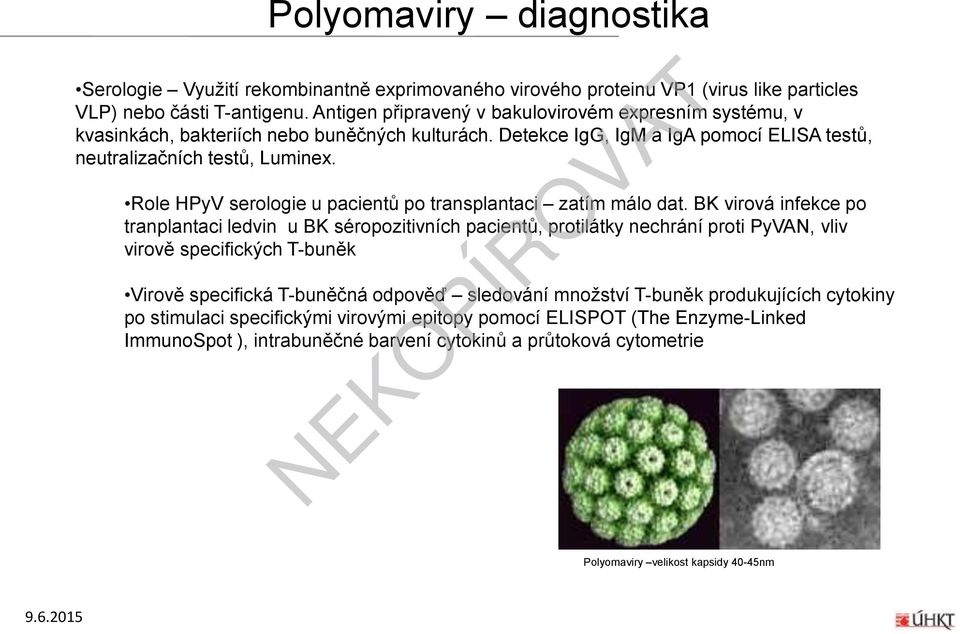 Role HPyV serologie u pacientů po transplantaci zatím málo dat.