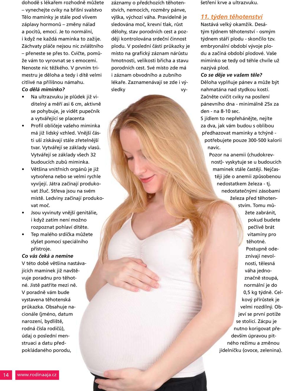 V prvním trimestru je děloha a tedy i dítě velmi citlivé na přílišnou námahu. Co dělá miminko?