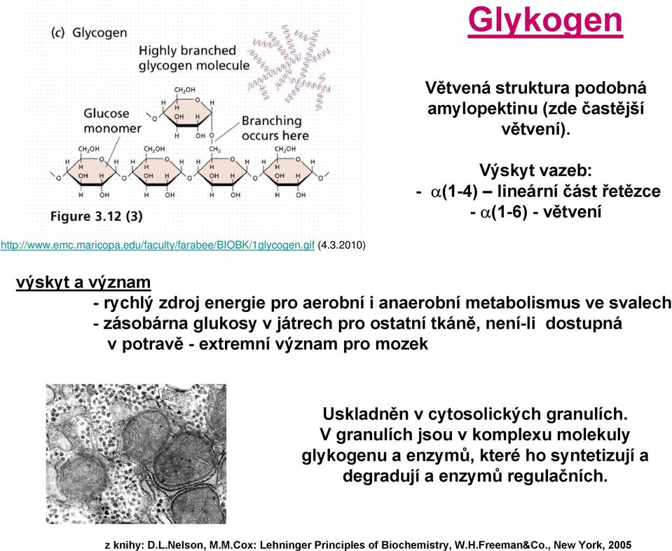 2010) výskyt a význam - rychlý zdroj energie pro aerobní i anaerobní metabolismus ve svalech - zásobárna glukosy v játrech pro ostatní