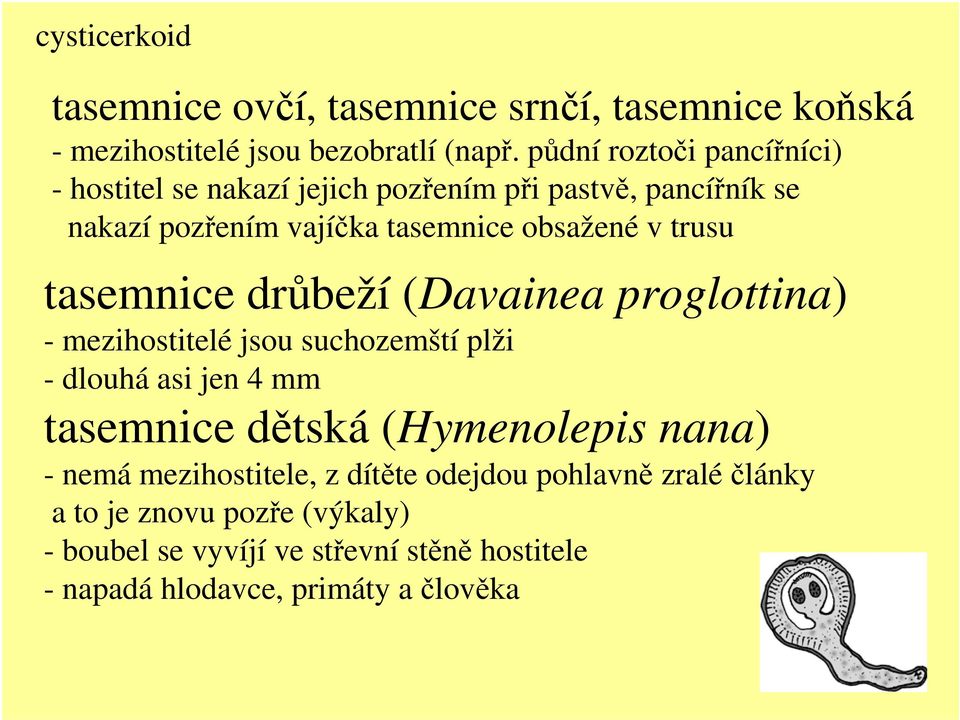 trusu tasemnice drůbeží (Davainea proglottina) - mezihostitelé jsou suchozemští plži - dlouhá asi jen 4 mm tasemnice dětská (Hymenolepis