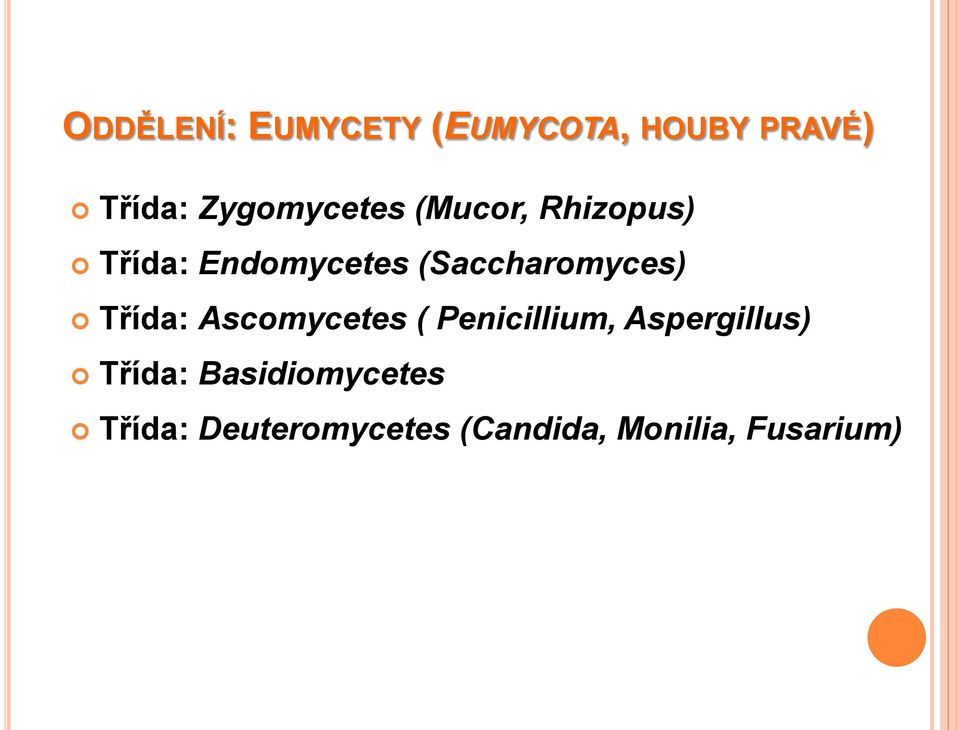 (Saccharomyces) Třída: Ascomycetes ( Penicillium,