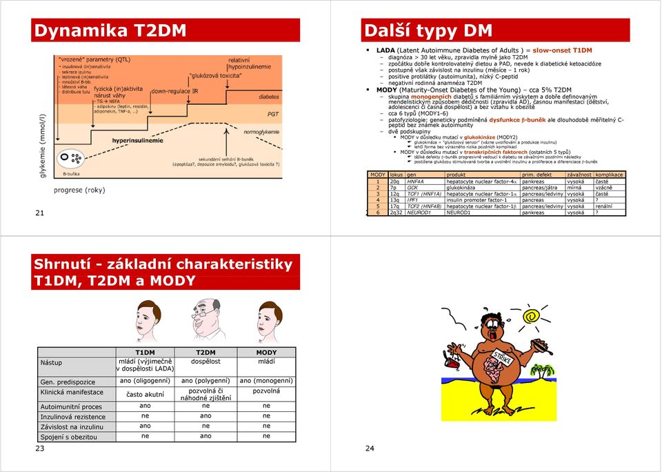 cca 5% T2DM skupina monogenních diabetů s familiárním výskytem a dobře definovaným mendelistickým způsobem dědičnosti (zpravidla AD), časnou manifestací (dětství, adolescenci či časná dospělost) a