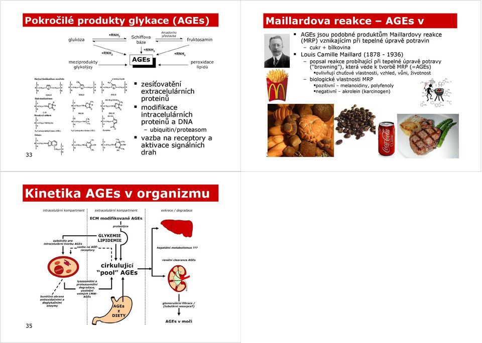 bílkovina Louis Camille Maillard (1878-1936) popsal reakce probíhající při tepelné úpravě potravy ( browning ) (browning), která vede k tvorbě MRP (=AGEs)