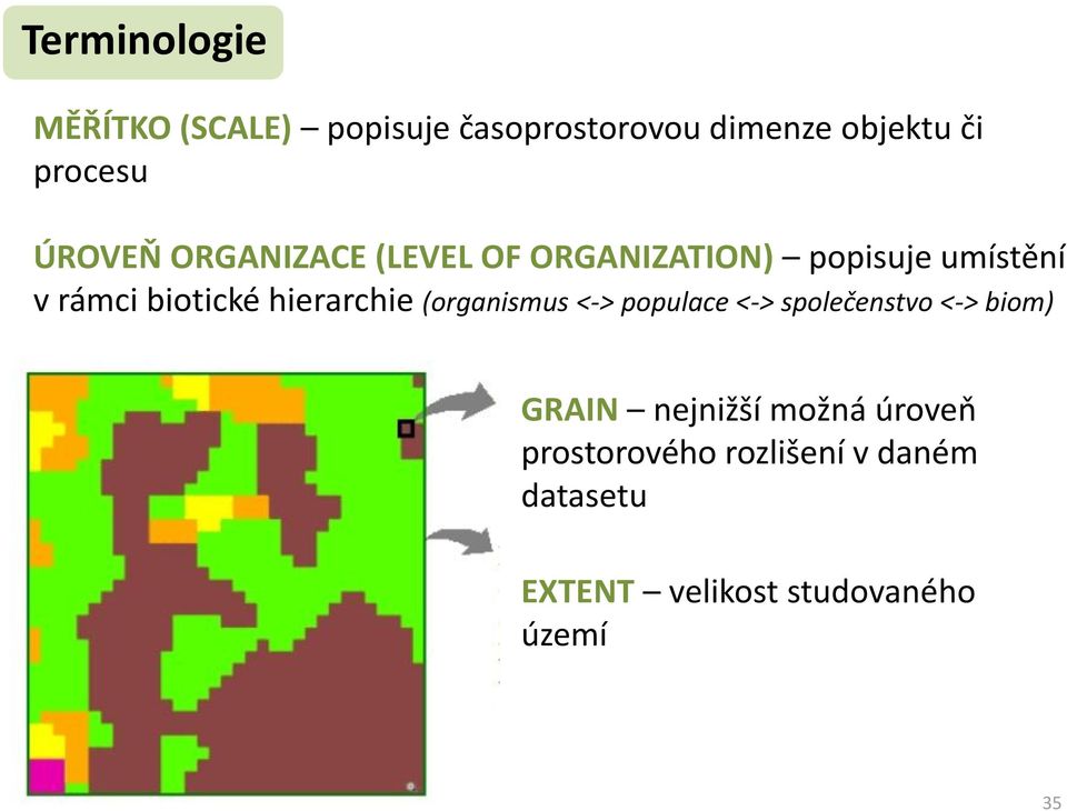 hierarchie (organismus <-> populace <-> společenstvo <-> biom) GRAIN nejnižší