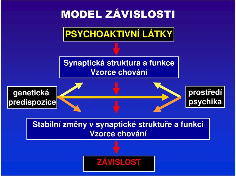 predispozice prostředí psychika Stabilní změny v