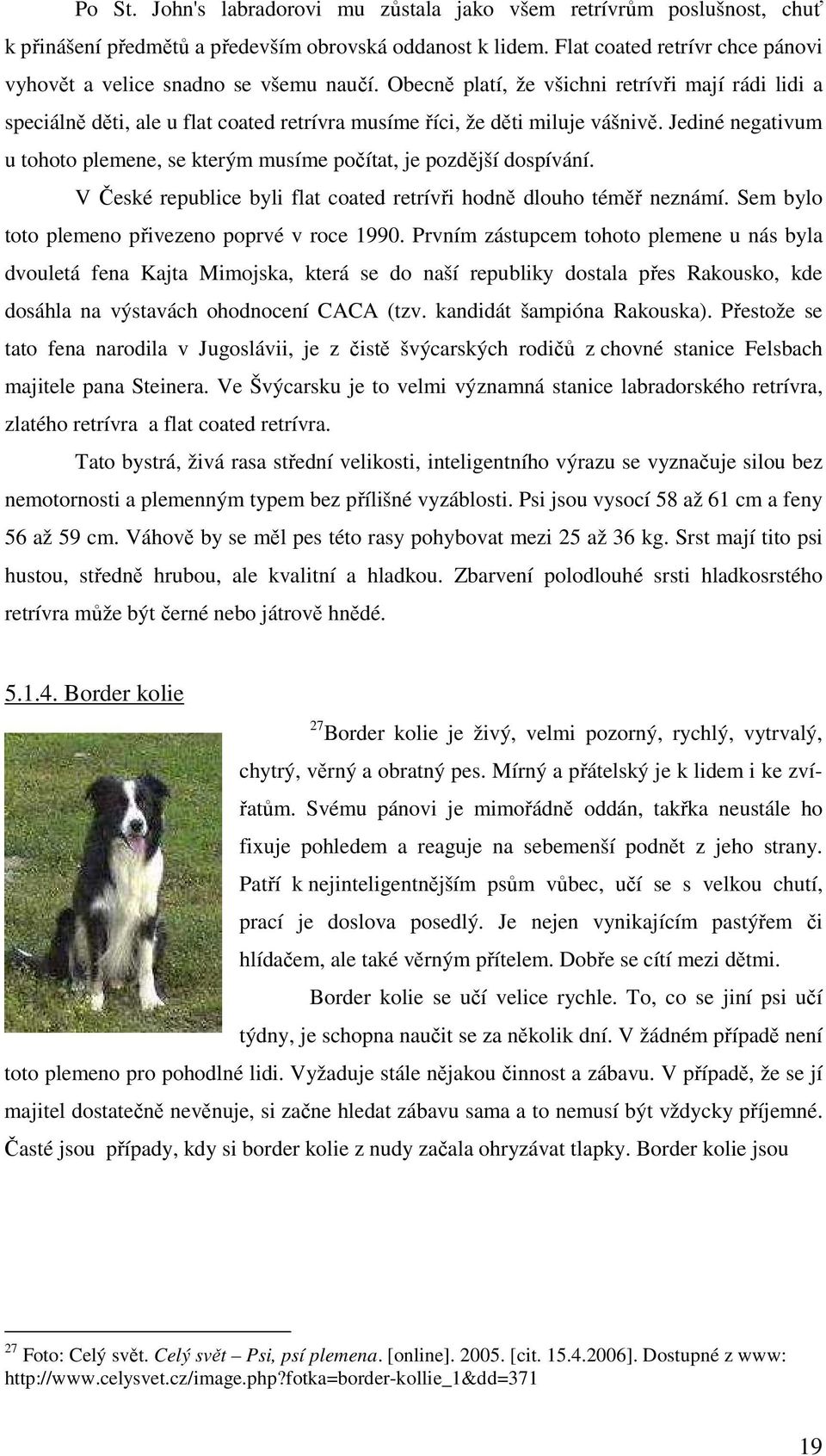 Obecně platí, že všichni retrívři mají rádi lidi a speciálně děti, ale u flat coated retrívra musíme říci, že děti miluje vášnivě.