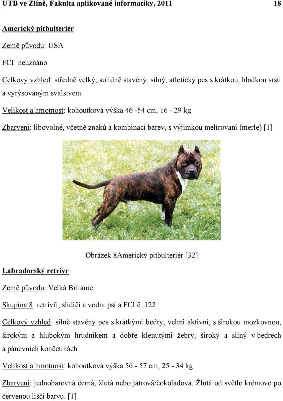 pitbulteriér [32] Labradorský retrívr Země původu: Velká Británie Skupina 8: retrívři, slídiči a vodní psi a FCI č.