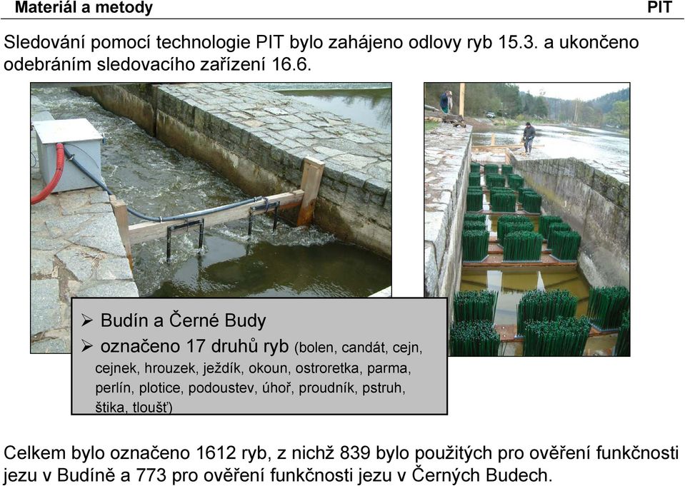 6. Budín a Černé Budy označeno 17 druhů ryb (bolen, candát, cejn, cejnek, hrouzek, ježdík, okoun, ostroretka,