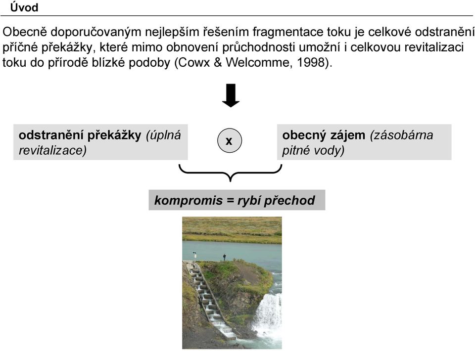 revitalizaci toku do přírodě blízké podoby (Cowx & Welcomme, 1998).