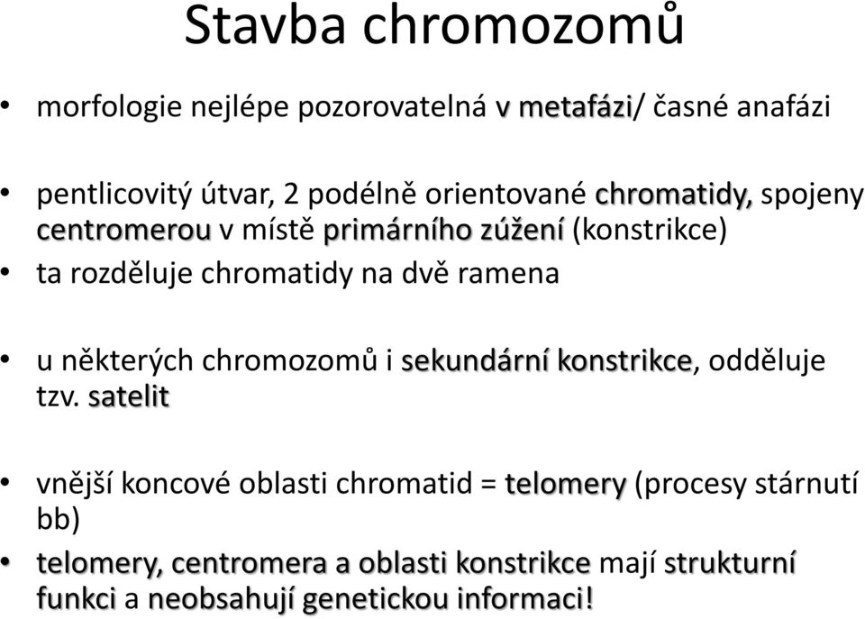 ramena u některých chromozomů i sekundární konstrikce, odděluje tzv.